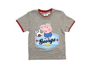 Комплект для мальчиков Peppa pig цена и информация | Рубашки для мальчиков | kaup24.ee