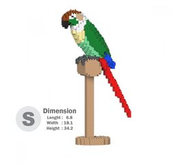 Конструктор Jekca, ST19MA20-M01, Зеленощёкий Краснохвостый Попугай, 630 шт. цена и информация | Конструкторы и кубики | kaup24.ee