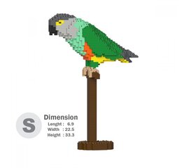 Konstruktor Jekca ST19MA22, Senegali Papagoi, 660 tk hind ja info | Klotsid ja konstruktorid | kaup24.ee