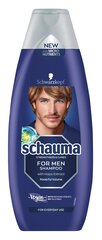 Schaum for Men Shampoo Men's Extract, 400 мл, 5 упаковочных наборов цена и информация | Шампуни | kaup24.ee