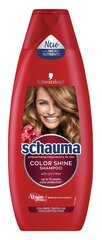Schaum Color Glanz Shampoo для окрашенных волос, 400 мл, 5 упаковочных наборов цена и информация | Шампуни | kaup24.ee