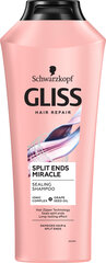 Gliss Split Ends šampoon, 400ml, 3 pakendikomplekti hind ja info | Šampoonid | kaup24.ee