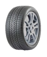 ROADMARCH WINTERXPRO 999 285/40R21 109H XL цена и информация | Зимняя резина | kaup24.ee