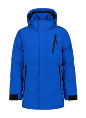Мужская зимняя куртка Luhta KARISTO, синий цвет цена и информация | Мужские куртки | kaup24.ee
