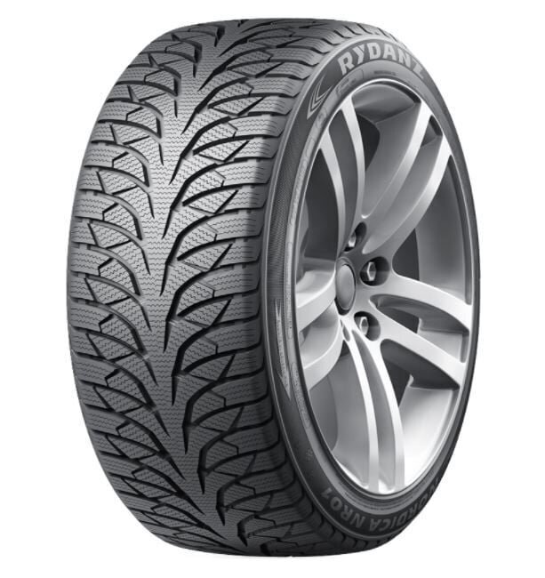 RYDANZ NORDICA NR01 245/45R18 100V XL цена и информация | Talverehvid | kaup24.ee