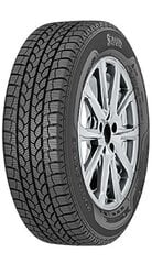 SAVA Eskimo LT 205/65R16 107/105T C цена и информация | Зимняя резина | kaup24.ee