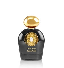 Parfümeeria universaalne naiste & meeste Tiziana Terenzi Hale Bopp (100 ml) hind ja info | Naiste parfüümid | kaup24.ee
