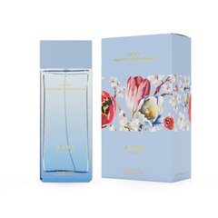 Naiste parfümeeria Vicky Martín Berrocal Aire EDT (100 ml) цена и информация | Женские духи | kaup24.ee