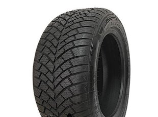 WARRIOR WASP-PLUS 255/55R19 107V hind ja info | Lamellrehvid | kaup24.ee