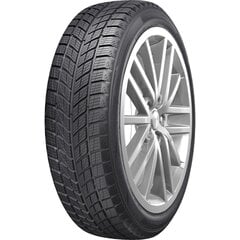 HORIZON HW505 235/50R19 99H цена и информация | Зимняя резина | kaup24.ee