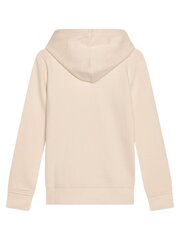 Poiste pusa Calvin Klein Placed Brushstrokes Hoodie 520883111 цена и информация | Свитеры, жилетки, пиджаки для мальчиков | kaup24.ee