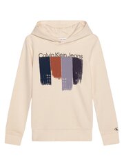 Poiste pusa Calvin Klein Placed Brushstrokes Hoodie 520883111 цена и информация | Свитеры, жилетки, пиджаки для мальчиков | kaup24.ee