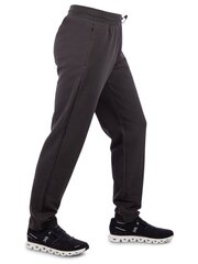 Мужские спортивные штаны EA7 Raven 280545729, серые цена и информация | Мужская спортивная одежда | kaup24.ee