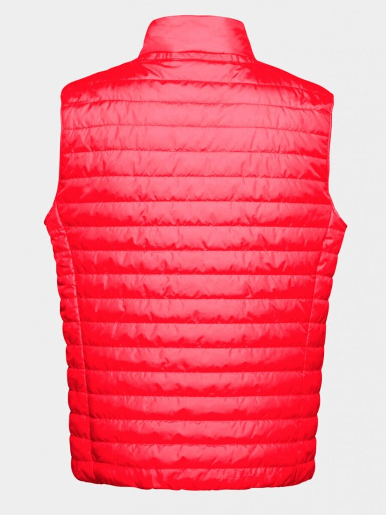 Meeste vest Geox M Wilmer True Red 560255748 hind ja info | Meeste vestid | kaup24.ee