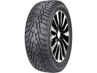 DOUBLESTAR DW01 225/60R18 100Q цена и информация | Зимняя резина | kaup24.ee