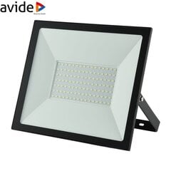 LED-välisprožektor Avide 100W, 8000lm hind ja info | Aia- ja õuevalgustid | kaup24.ee