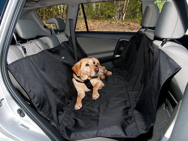 Istmekate koerale, autokate istmetele hind ja info | Reisimise tarvikud | kaup24.ee