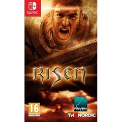 Risen Nintendo Switch/Lite цена и информация | Компьютерные игры | kaup24.ee