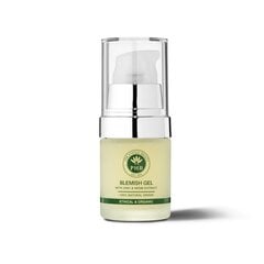 PHB Ethical Beauty tsingi ja niatsiinamiidiga tasakaalustav geel rasusele ja probleemsele nahale, 20 ml hind ja info | Näokreemid | kaup24.ee