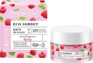 Niisutav ja rahustav näokreem hüalurooni ja vaarikaekstraktiga Bielenda Eco Sorbet, 50 ml hind ja info | Näokreemid | kaup24.ee