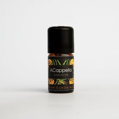 Kodu lõhn Black Edition "Vetiver & Cedarwood" 8 ml hind ja info | Kodulõhnastajad | kaup24.ee