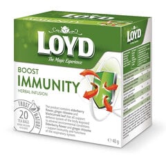 Taimne tee Loyd Boost Immunity, 20 x 2g x 5 pakki hind ja info | Tee | kaup24.ee