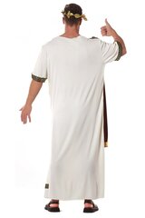 Roomlase kostüüm hind ja info | Karnevali kostüümid | kaup24.ee