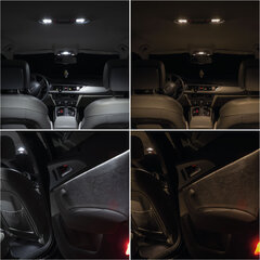 Jaguar X-Type 2001-2009 - LED salongi valgustuse pirnide komplekt 5500K Külm valge цена и информация | Автомобильные лампочки | kaup24.ee