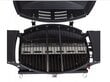 Gaasigrill Escal 4,2 kW hind ja info | Grillid | kaup24.ee