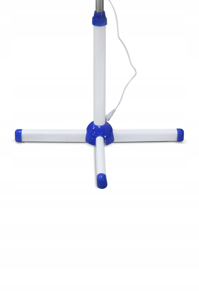 Ventilaator Blue Wind 4 tiivaga hind ja info | Ventilaatorid | kaup24.ee