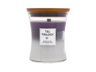 WoodWick ароматическая свеча Trilogy Amethyst Sky 275 г цена и информация | Подсвечники, свечи | kaup24.ee