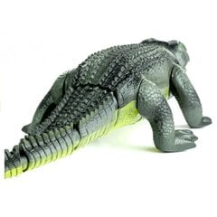 Kaugjuhitav alligaator, roheline цена и информация | Игрушки для мальчиков | kaup24.ee