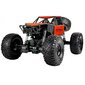 Kaugjuhitav veoauto Lean Toys Orange Springs RC, punane hind ja info | Poiste mänguasjad | kaup24.ee