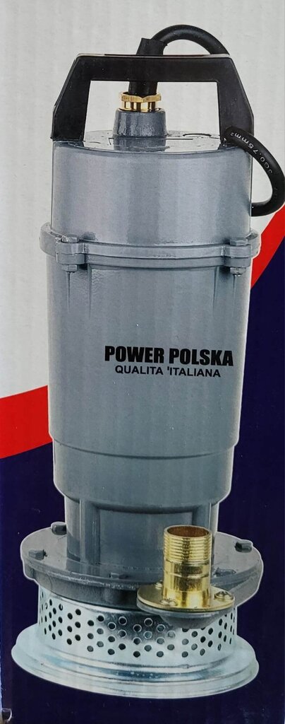 Reoveepump Power Polska 2300W hind ja info | Reoveepumbad | kaup24.ee