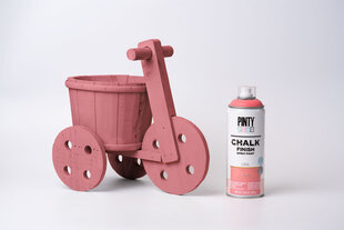 Матовая аэрозольная краска на водной основе Coral CHALK PintyPlus 400ml цена и информация | Краска | kaup24.ee