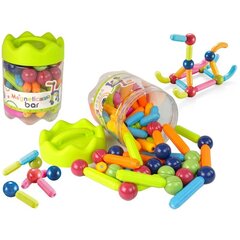 Magnetkonstruktor Lean Toys XL, 64 osa цена и информация | Конструкторы и кубики | kaup24.ee