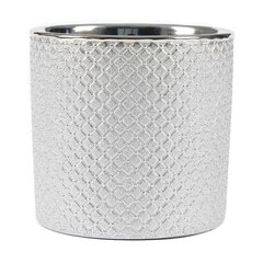 Керамический горшок GARRYA 13,5 x 13(B) cm, серебряный цена и информация | Вазоны | kaup24.ee