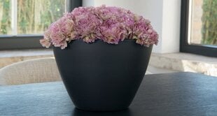 Keraamiline pott GABRIELLE 20x15 x 15(A) cm, must hind ja info | Dekoratiivsed lillepotid | kaup24.ee