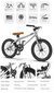 BMX jalgratas Aoli 20", hall цена и информация | Jalgrattad | kaup24.ee