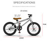 BMX jalgratas Aoli 20", hall цена и информация | Jalgrattad | kaup24.ee