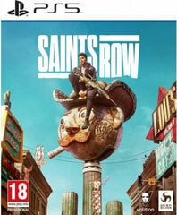 Deep Silver PlayStation 5 Video Game Deep Silver Saints Row - Day One Edition hind ja info | Arvutimängud, konsoolimängud | kaup24.ee