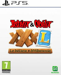 Видеоигры PlayStation 5 Microids Astérix & Obélix XXXL: Lé Belier d'Hibernie цена и информация | Компьютерные игры | kaup24.ee