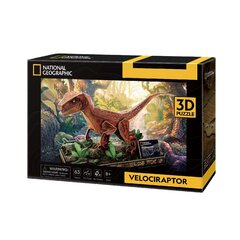 3D pusle Cubic Fun National Geographic Velociraptor, 63 osa. hind ja info | Klotsid ja konstruktorid | kaup24.ee