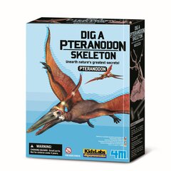 Arheoloogia kaevamiskomplekt 4M Pteranodon цена и информация | Развивающие игрушки | kaup24.ee