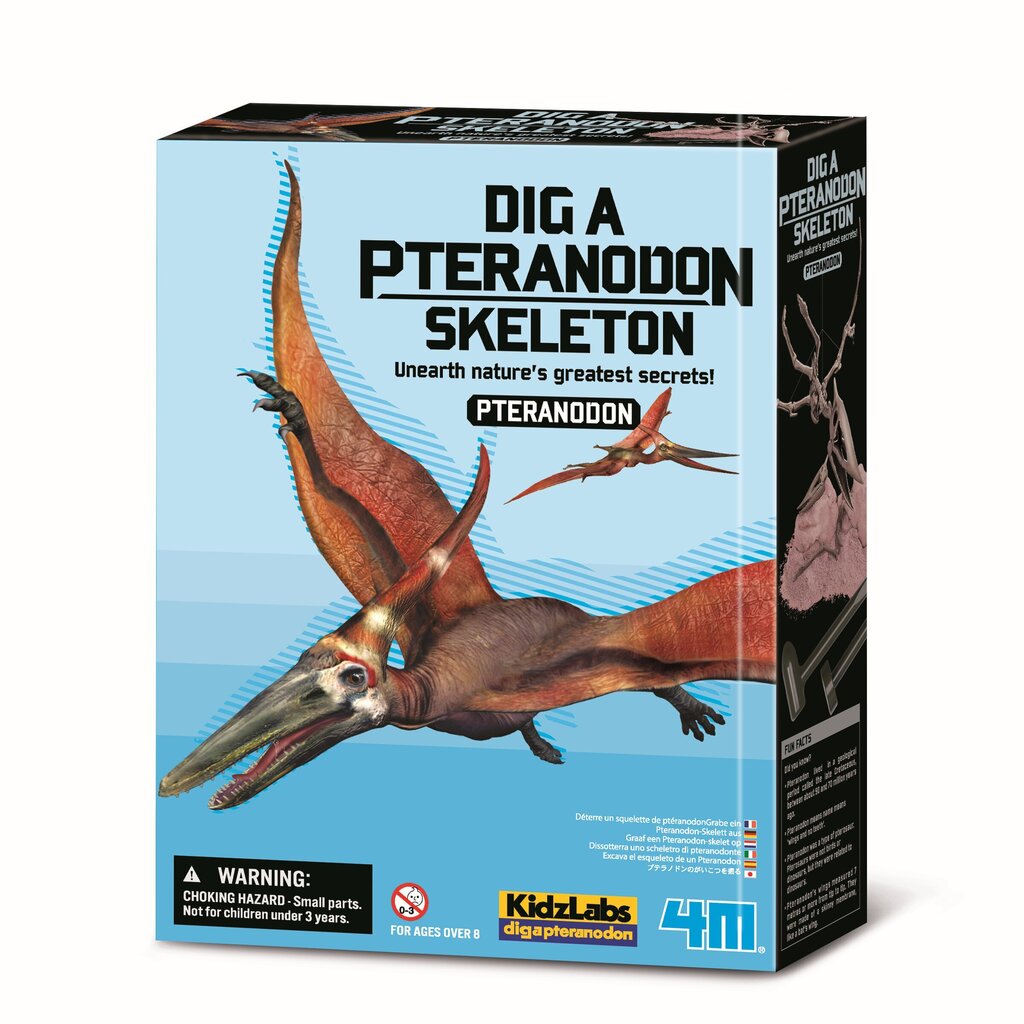 Arheoloogia kaevamiskomplekt 4M Pteranodon цена и информация | Arendavad mänguasjad | kaup24.ee