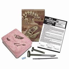 Arheoloogia kaevamiskomplekt 4M Pteranodon цена и информация | Развивающие игрушки | kaup24.ee
