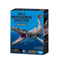 Arheoloogia kaevamiskomplekt 4M Mosasaurus цена и информация | Развивающие игрушки | kaup24.ee