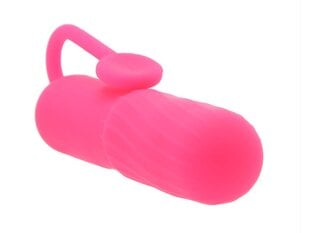 Kliitorit stimuleeriv vibraator Pink Pussycat, roosa цена и информация | Вибраторы | kaup24.ee