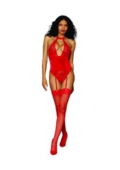 Seksikas bodi Dreamgirl, punane, üks suurus hind ja info | Naiste sekspesu | kaup24.ee