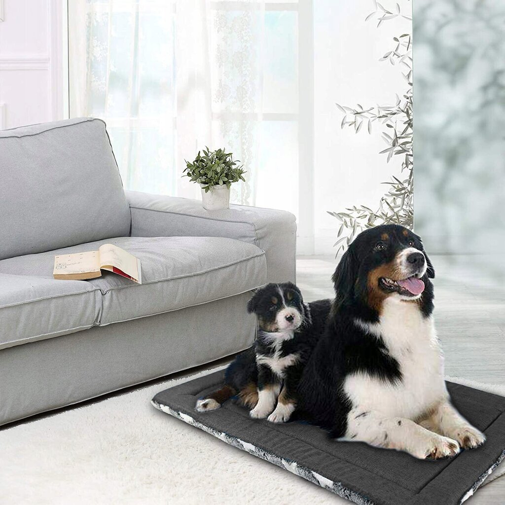 Koera või kassi voodi, MAT, Superkissen24, 120x80 hind ja info | Pesad, padjad | kaup24.ee